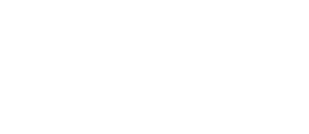 Pulpo Studio